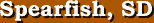 Spearfish, South Dakota Services Guide