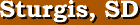 Sturgis, South Dakota Services Guide